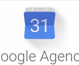 Agenda Google